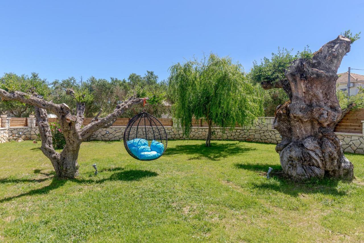 Tierra Olivo * Lithakia (Zakynthos)